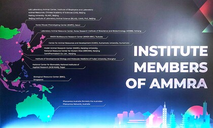 AMMRA_Institutes.jpg